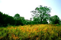 photo 0093
